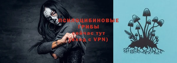 гидропоника Белокуриха